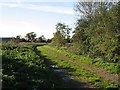 A Bridleway To Bradenham