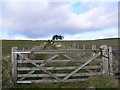 Gate on the Cateran Trail