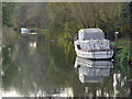 The River Loddon