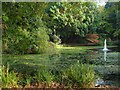 Reed Pond, University of Exeter