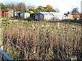 NZ3835 : Derelict allotments at Trimdon Colliery by Oliver Dixon