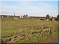 Piggeries near Dalton Piercy