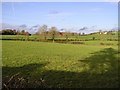 Drumenagh Townland