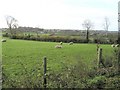 Bogbane Townland