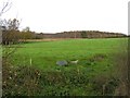 Derryhubbert Townland