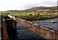 Old Bridge over River Don