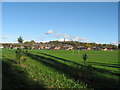 Prescot from Carr Lane Playing fields