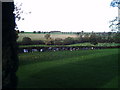 Cemetery Woolsthorpe