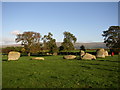 Long Meg