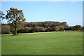 Corfe: Taunton and Pickeridge Golf Club