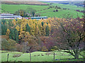 Wincle - valley of Highmoor Brook