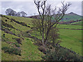 Wincle - footpath to Allmeadows