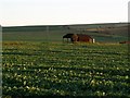 Farmland near Conock