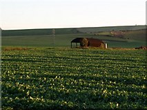 SU0656 : Farmland near Conock by Chris Henley