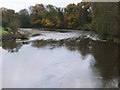 Afon Wysg/ River Usk