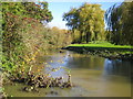 River Stort near Stansted Mountfitchet