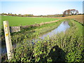 River Stort south of Manuden