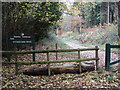 Entry to Stonedown Wood, above Shermel Gate