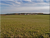 NH8254 : Farmland near Blackcastle (farm) by Ian R Maxwell