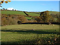 View near Fishley