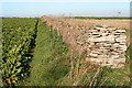 Dry stone wall on Frieston Heath