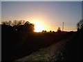 Silhouetted farm animals