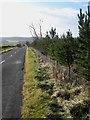 The road down to the north side of the Derwent Reservoir