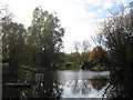 Autumn at the Fishing Pond, Carr Lane