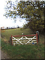 Field near Hall Farm