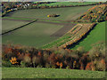 Farmland, Oare