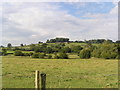 ST9672 : Site of Cistercian Abbey, Bencroft Hill Farm in the distance by Helen Hanley