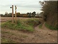 Two Public Footpaths