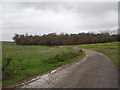 Track behind Manswood leading to Horse Down