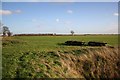 Lincolnshire fenland