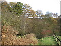 Path down to Holborn Beck