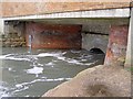 SZ4598 : Beneath the Dark Water bridge, Lepe by Jim Champion