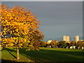 Autumn Colour at Midstocket