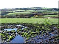 Muddy field by Cefn Farm