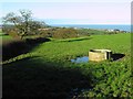 Fields near Holywell