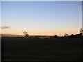 Farmland near High Catton