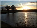 Boundary Farm Pool