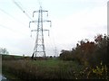 ST8872 : Pylons marching across Wiltshire by Chris Henley