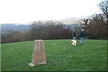 SO7241 : Trig Point atop Oyster Hill by Bob Embleton