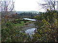 Afon Ystwyth