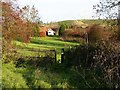 Footpath, Stanley