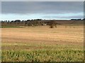 Farmland near Orwell Farm