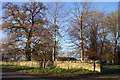 Trees by the entrance to Coneygar Farm.