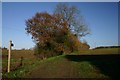 Footpath in Thorpe Morieux