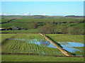 Flooded Fields