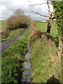 Ditch beside the lane to Wilburton